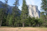 A sme v Yosemitoch pod El Capom