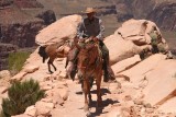 Camp dole zásobujú mexičania na muloch a somároch