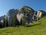 Donnerkogel od chaty Gablonzerhütte